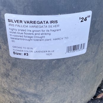 Terra Gardens Nursery & Bark - Iris name and price - Nurseries & Gardening Near Me - Salem, Oregon