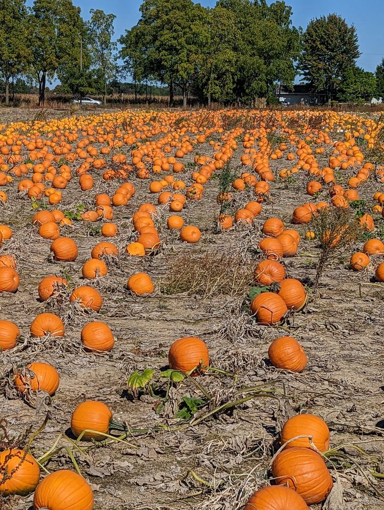 BAKERS ACRES Updated June 2024 5359 E P Ave, Kalamazoo, Michigan