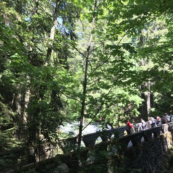 Whatcom Falls Park - Small bridge overlooking the waterfall. - Dog Parks Near Me - Bellingham, Washington
