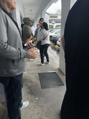 HAVANA 86 - Authentic Cuban Flavor by null