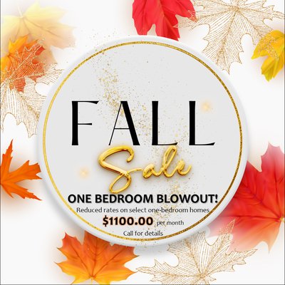 The Polo Club by null