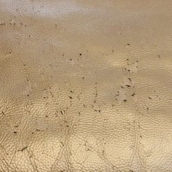 The Leather Sofa