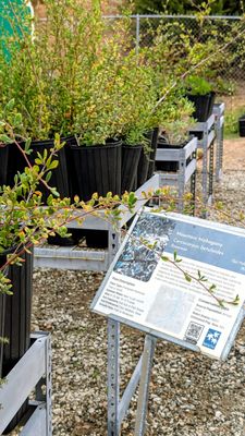 Ascot Hills Park by null