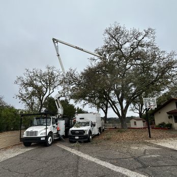 Whits Turn Tree Care - Tree Services Near Me - Paso Robles, California