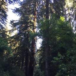 Road to my campsite loop.
