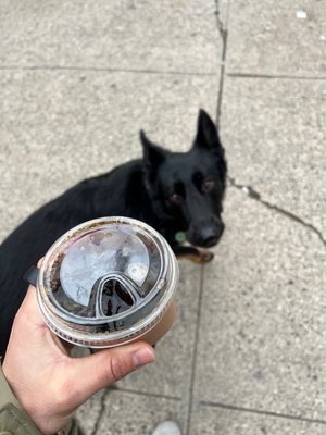 Mojo Coffee Company by null