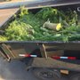 Leyva's Junk removal