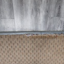 Maverick Motel - Ripped old carpet