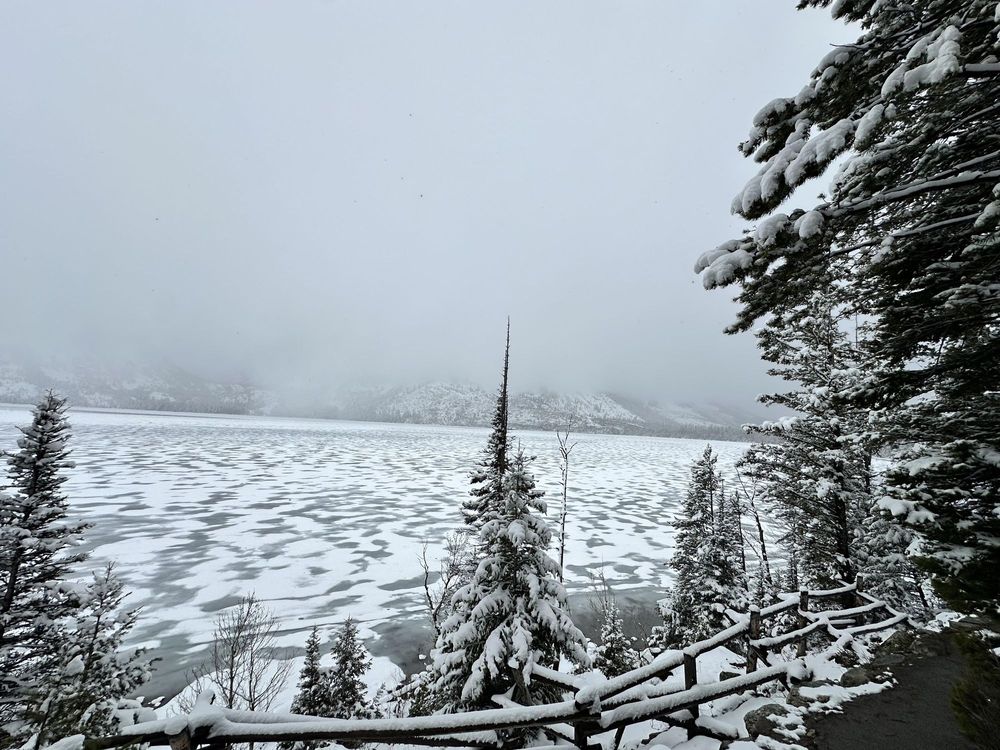 Jenny Lake Logo