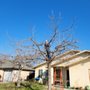 Photo of Los De La Ex Lawn Care & Tree service