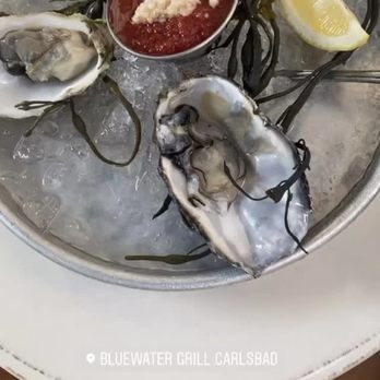 Bluewater Grill Seafood Restaurant & Market Carlsbad - Oysters on the Half Shell* - Seafood Near Me - Carlsbad, California