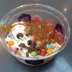 Frozen Yogurt Factory