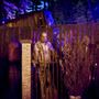 Photo of Trail of Terror