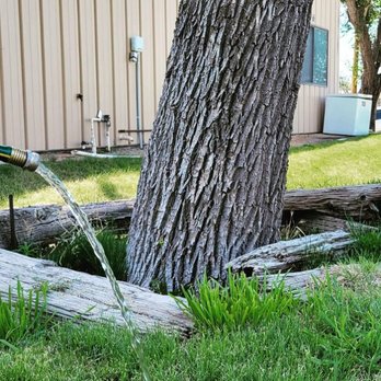 Alpine Tree Service - Tree Services Near Me - Grand Junction, Colorado Alpine Tree Service - Tree Services Near Me - Grand Junction, Colorado