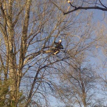 Make Like A Tree - Professional Tree Care - Tree Services Near Me - Billings, Montana Make Like A Tree - Professional Tree Care - Tree Services Near Me - Billings, Montana