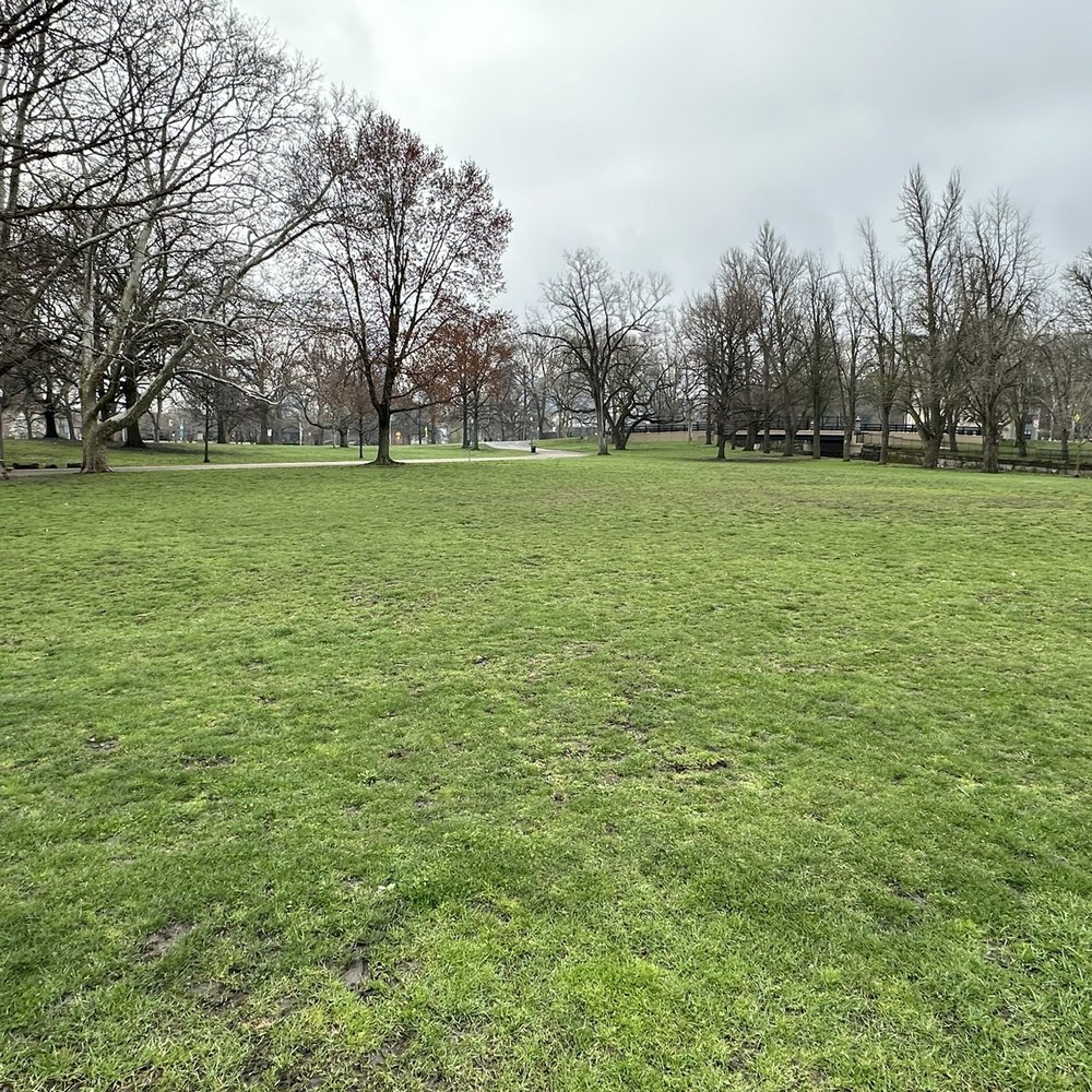 Allegheny Commons Park - Dog area. Not fenced in. - Parks Near Me - Pittsburgh, Pennsylvania