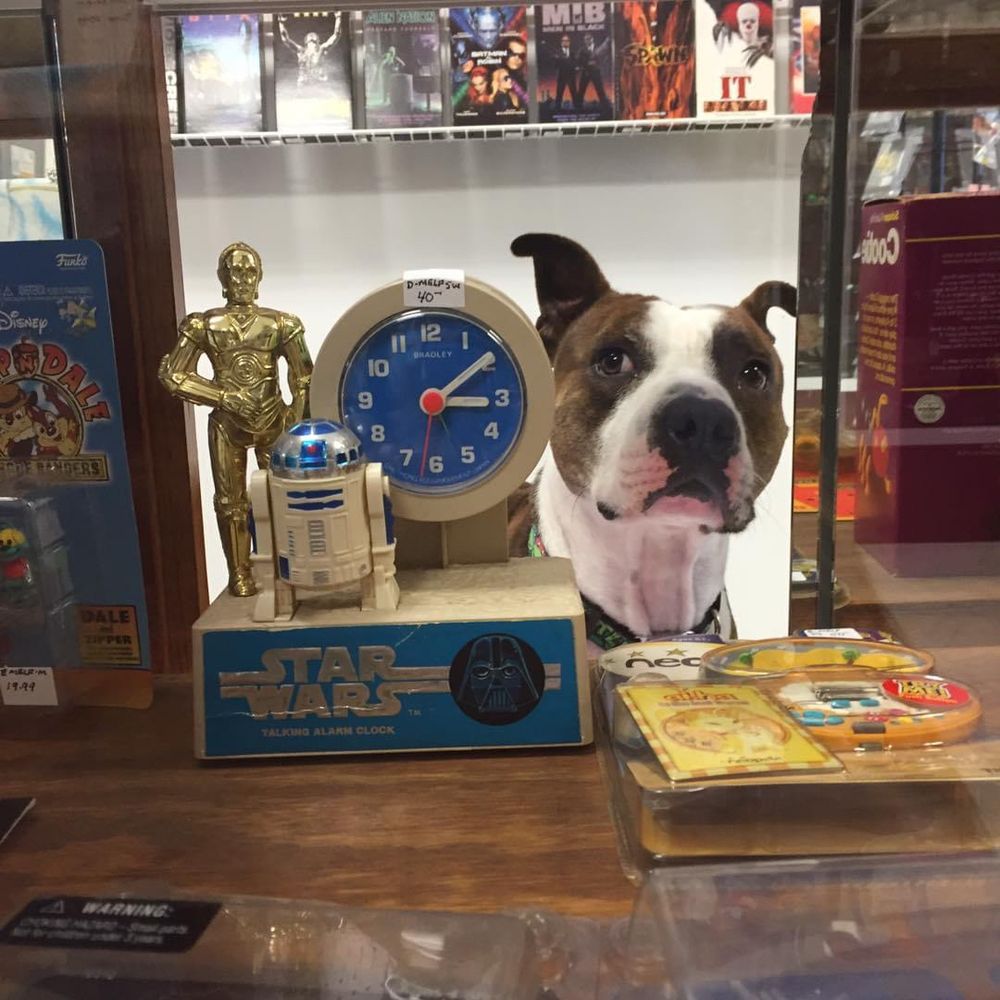 WAYOUT TOYS & COLLECTIBLES Updated June 2024 Request Information