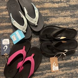 Flip Flop Shops