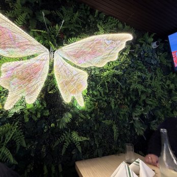 Mariposas - Seating area wall - Peruvian Near Me - San Francisco, California Mariposas - Seating area wall - Peruvian Near Me - San Francisco, California