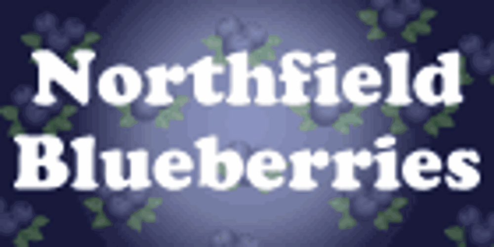 Northfield Blueberries
