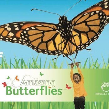 Boca4Kids.com - Summer Camps Near Me - Boca Raton, Florida
