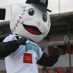 Rochester Honkers Baseball - Crazy creepy mascot, Slider