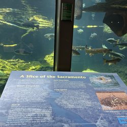 Turtle Bay Museum Store & Coffee Bar - Local ecosystem education