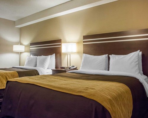 Comfort Inn Guelph by null