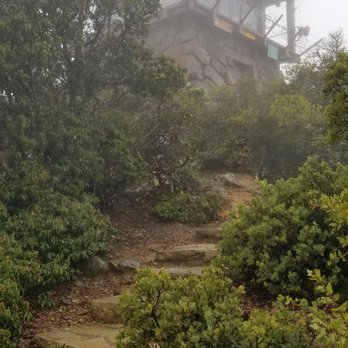 Mt. Tamalpais East Peak - Watch tower at the summit - Parks Near Me - Mill Valley, California Mt. Tamalpais East Peak - Watch tower at the summit - Parks Near Me - Mill Valley, California