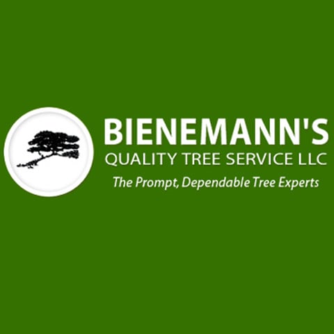 Bienemann's Quality Tree Service - tree service in Burlington, WI