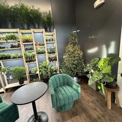 Botanical Brew - Lobby