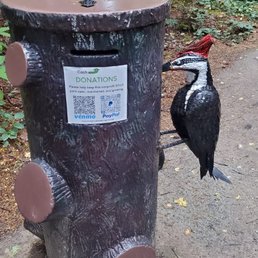 Woodpecker on the side of the donation bin Woodpecker on the side of the donation bin