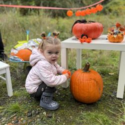 Chestnut Montessori School - Pumpkin Hunt