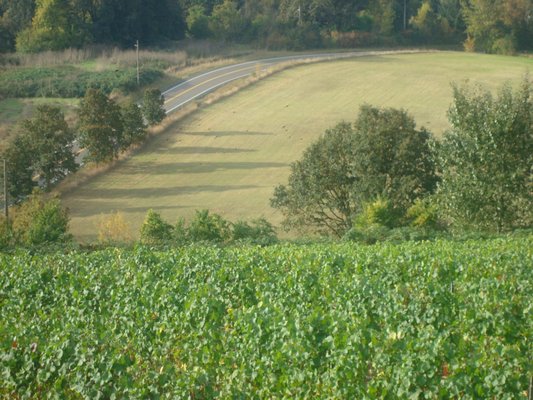Stangeland Vineyards & Winery by null