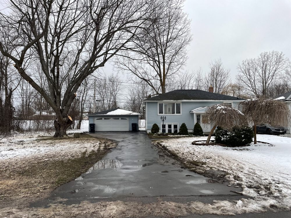 5 Star Tree Services - tree service in Cheektowaga, NY