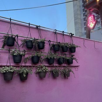 Barcoa Agaveria - Outside area - Cocktail Bars Near Me - Phoenix, Arizona