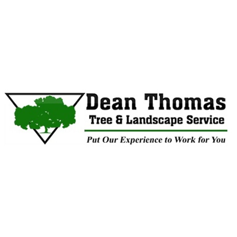 Dean Thomas Tree Service - tree service in Pittsburgh, PA
