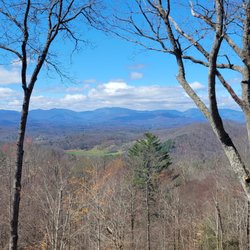 Franklin Tree Care - view clearing