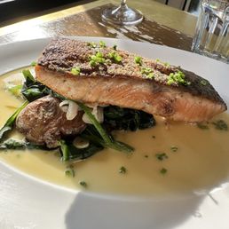 Salmon Salmon