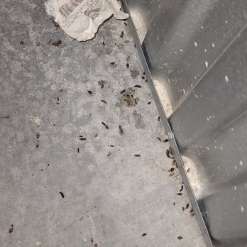Extra Space Storage - Feces - Self Storage Near Me - Bloomfield, New Jersey
