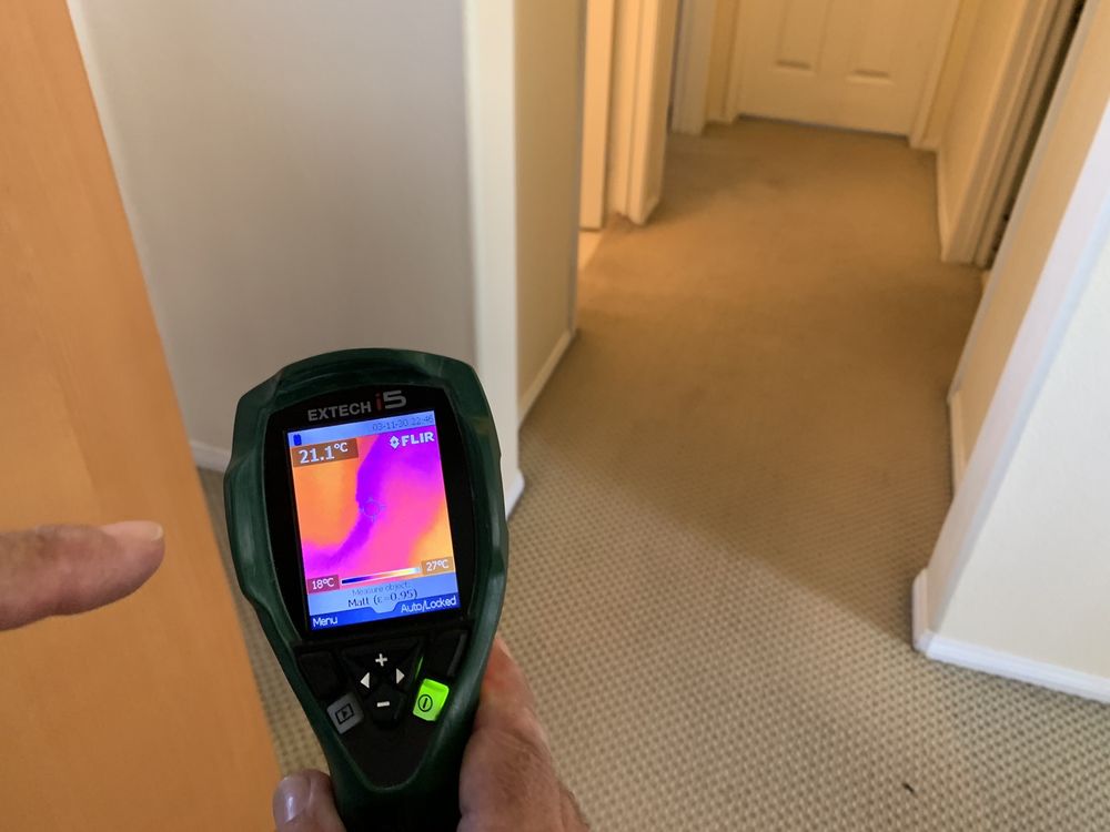 PAT’S CUSTOM CARPET & UPHOLSTERY CARE 39 Photos & 17 Reviews 19112