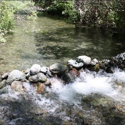 Bear Creek Campground USFS - Bear Creek as it flows by the campground.