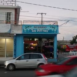 Acuario Los Delfines
