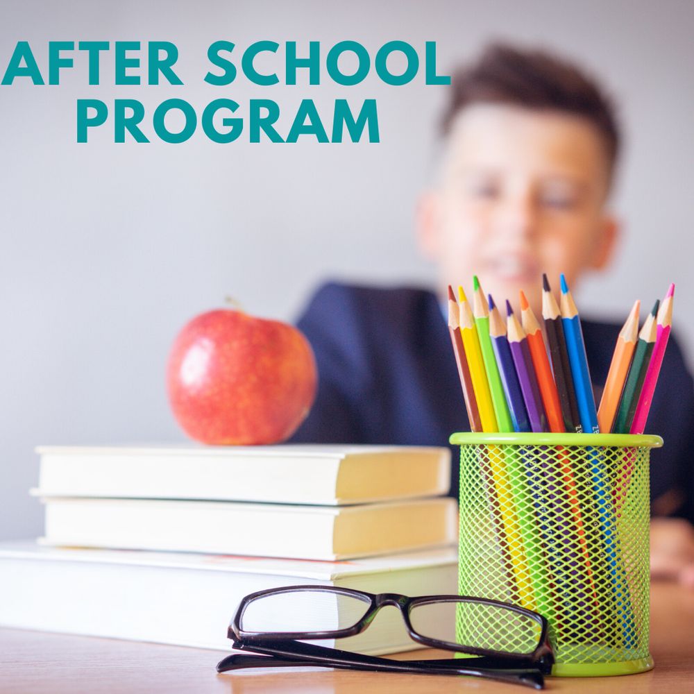 Little Genius - reading tutor in Tampa, FL