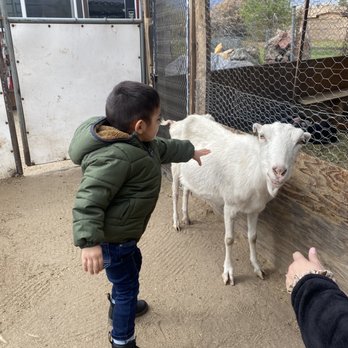 Rancho Los Fonseca - Petting Zoos Near Me - Muscoy, California Rancho Los Fonseca - Petting Zoos Near Me - Muscoy, California