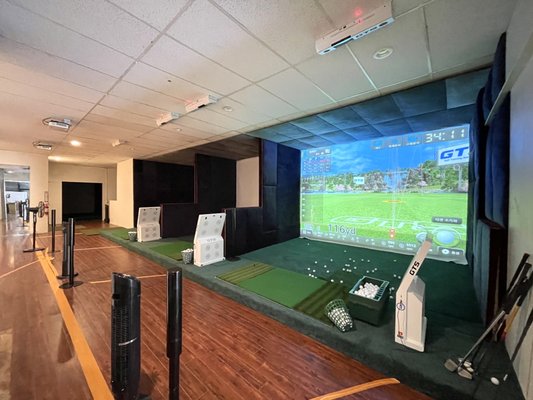 W Screen Golf by null