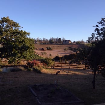 Moondance Cellars - Turkeys! - Wineries Near Me - Sebastopol, California Moondance Cellars - Turkeys! - Wineries Near Me - Sebastopol, California
