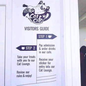 Cat Cafe on Whyte - Coffee & Tea Near Me - Edmonton, Alberta