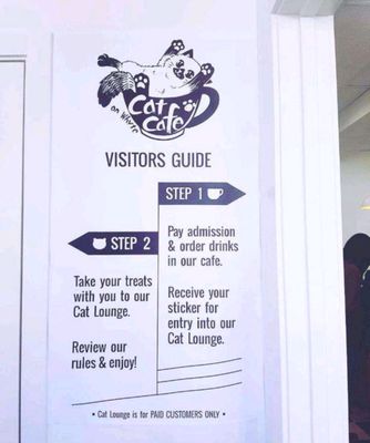 Menu photo 6 Cat Cafe on Whyte Edmonton, AB