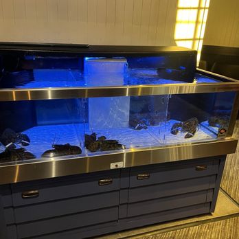 Red Lobster - cute lobsters (real) - Seafood Near Me - Citrus Heights, California Red Lobster - cute lobsters (real) - Seafood Near Me - Citrus Heights, California